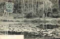 CPA Etang de St Cucufa  