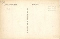 CPA Amboise Le Chateau vu de l'Ile 