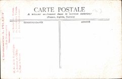 CPA Le Chateau d'Azay le Rideau  