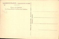 CPA Chateau de Loches Le Chateau Royal et la Porte des Cordeliers 