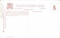 CPA Picturesque Devon 