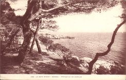 CPA La Cote d'Azur Presqu'ile de Capelan 