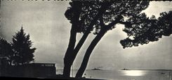 CPA Juan les Pins A M Crepuscule 