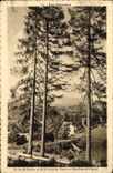 CPA Les Cevennes le Pic du Lisieux vu de la route de tence au Chambon sur Lignon 