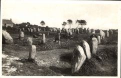 CPA Carnac les Alignements du Petit Menec 