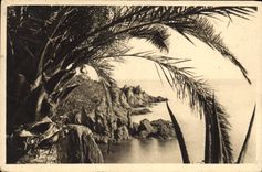 CPA Cote d'Azur le Trayas Var les Rochers 