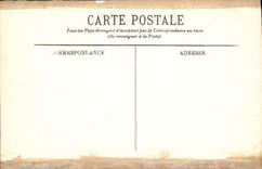 CPA Lourdes le Pic du Jer et la Basilique 