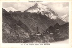 CPA Tableaux Pyreneens un Troupeau dans la Haute montagne 