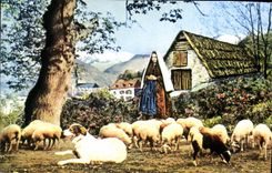 CPA Bartres a 4km de Lourdes Bernadette devant sa bergerie gardant les moutons 