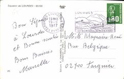 CPA Souvenir de Lourdes 