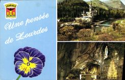 CPA Lourdes la Basilique la Grotte 