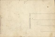 CPA Lourdes La Basilique et le Vierge Couronnee 