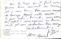 CPA Lourdes La Basilique et le Gave Monument Interallie 