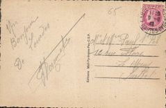 CPA Lourdes Vue generale la Basilique et le Chateau 