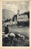 CPA Lourdes La Basilique Moutons Berger