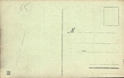 CPA Les Hautes Pyrenees Saint Sauveur Le Pont Napoleon 