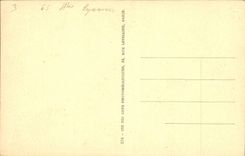 CPA Lourdes Le Gave et la Basilique 