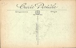 CPA Lourdes La Basilique et le Gave 