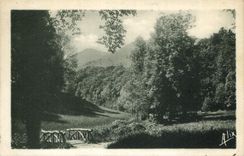 CPA Les Pyrenees Bagneres de Bigorre le vallon de Salut 