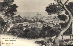 CPA Monte Carlo Entre les Pins 
