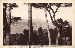 CPA Antibes A M La Chaine des Alpes vue a travers les Pins 
