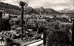 CPA Vence la Jolie A M Vue generale entre les fleurs 