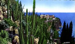 CPA Monaco les Jardins Exotiques vue sur le Rocher de Monaco 