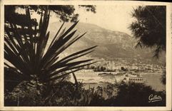 CPA Cote d'Azur Artistique Monte Carlo Entre les Arbres 