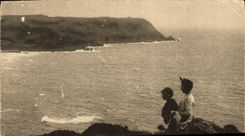 CPA La Baie d'Ecalgrain et les Grandes Falaise de Jobourg 