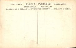 CPA Musee Jacquempart Andre Institut de France Jan de Bray Portrait d'Homme 