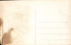 CPA A Bettannier l'Oiseau de France 