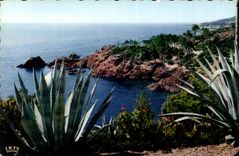 CPA Reflets de la Cote d'Azur La Corniche d'Or Rivages Mediterranee 