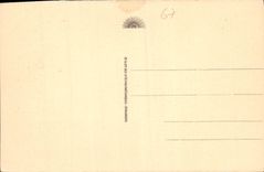 CPA Strasbourg l'Orangerie Genselieseln 