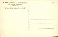 CPA Les Petits Tableaux de l'Ile de France Chateau de Chantilly les Chateaux le Petit Chateau et la 