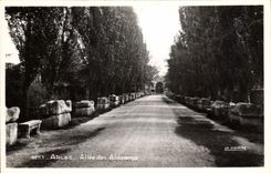 CPA Arles Allee des Alyscamps 