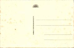 CPA Strasbourg La Cathedrale cote sud 