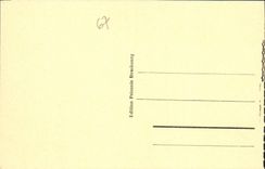 CPA Strasbourg l'Orangerie Gansellesel par Schuhz 