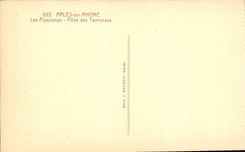 CPA Arles sur Rhone Les Alyscamps Allee des Tombeaux 