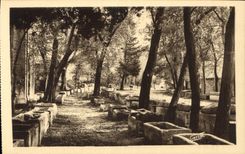 CPA Arles Les Alyscamps Champs Elysees Romains 