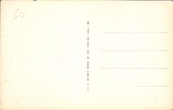 CPA Parc du Chateau de Chantilly la Bruyere par Thomas 