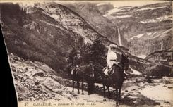 CPA Gavarnie Revenant du Cirque Ane Mule