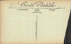 CPA Gavarnie Revenant du Cirque Ane Mule