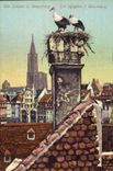 CPA Les cigognes a Strasbourg 