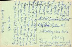 CPA Strasbourg Les Cigognes 