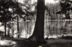 CPA Les Vosges Pittoresque Vexaincourt Lac de Lamaix 