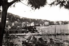 CPA Cannes Alpes Maritimes Vue du Casino et du Port 