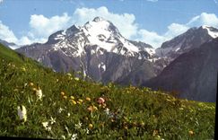 CPA Les Alpes en couleurs naturelles printemps en haute montagne 