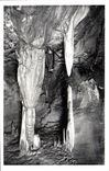CPA Les Pyrenees les grottes de Betharram Stalactites vivantes 
