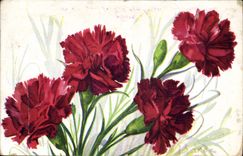 CPA Oeillet rouge Fleurs