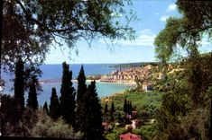 CPA Les Sites merveilleux de la Cote d'Azur Menton A M Vue generale prise a travers les oliviers 